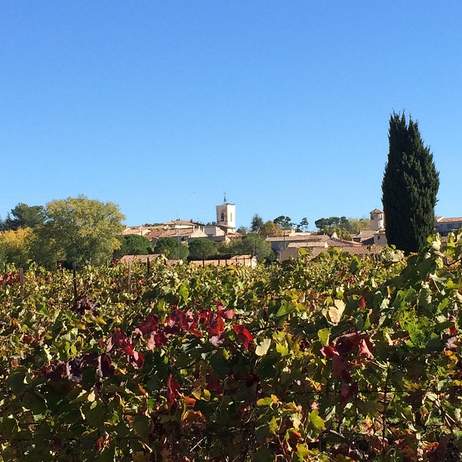 Le village vue d'un champ de vigne