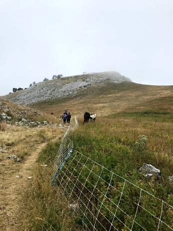 Descente du plateau