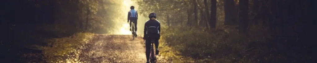 VTT